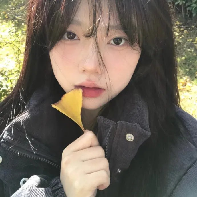 黑箱日记